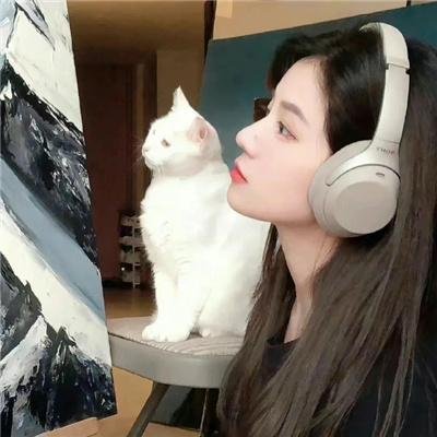 像恶魔的女人封面